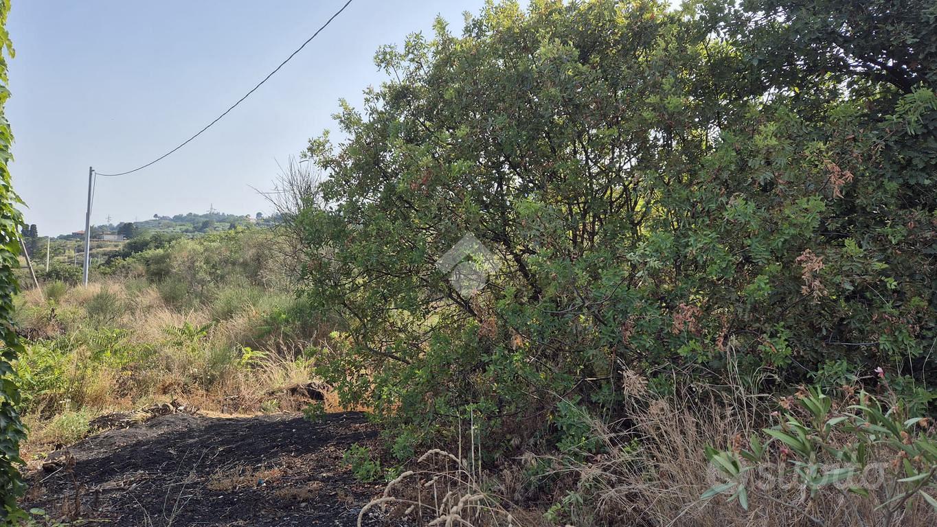TER. AGRICOLO A MASCALI - Altro
