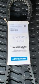 cinghia trasmissione