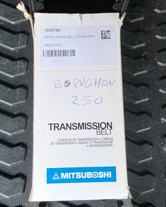 cinghia trasmissione