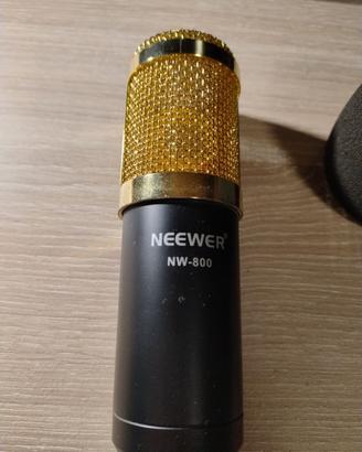 Microfono professionale