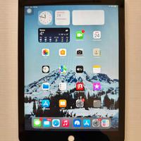 iPad Air 2 64 GB Wi-Fi + Cellular. perfetto