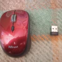 Mouse wireless (guasto)