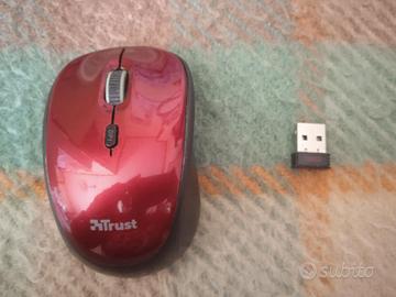 Mouse wireless (guasto)