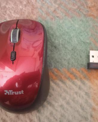 Mouse wireless (guasto)