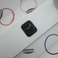 Apple Watch 5 44 mm alluminio argento