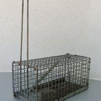 trappola per topi