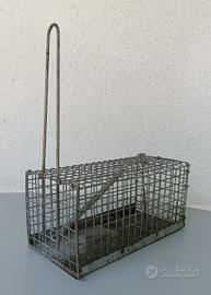 trappola per topi