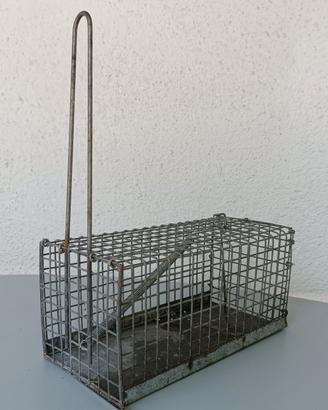 trappola per topi