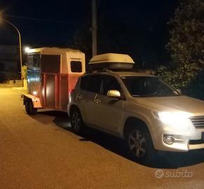 trailer trasporto cavalli due posti revisionato.