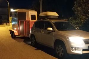 trailer trasporto cavalli due posti revisionato.