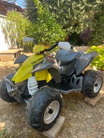 Quad c bambini polaris