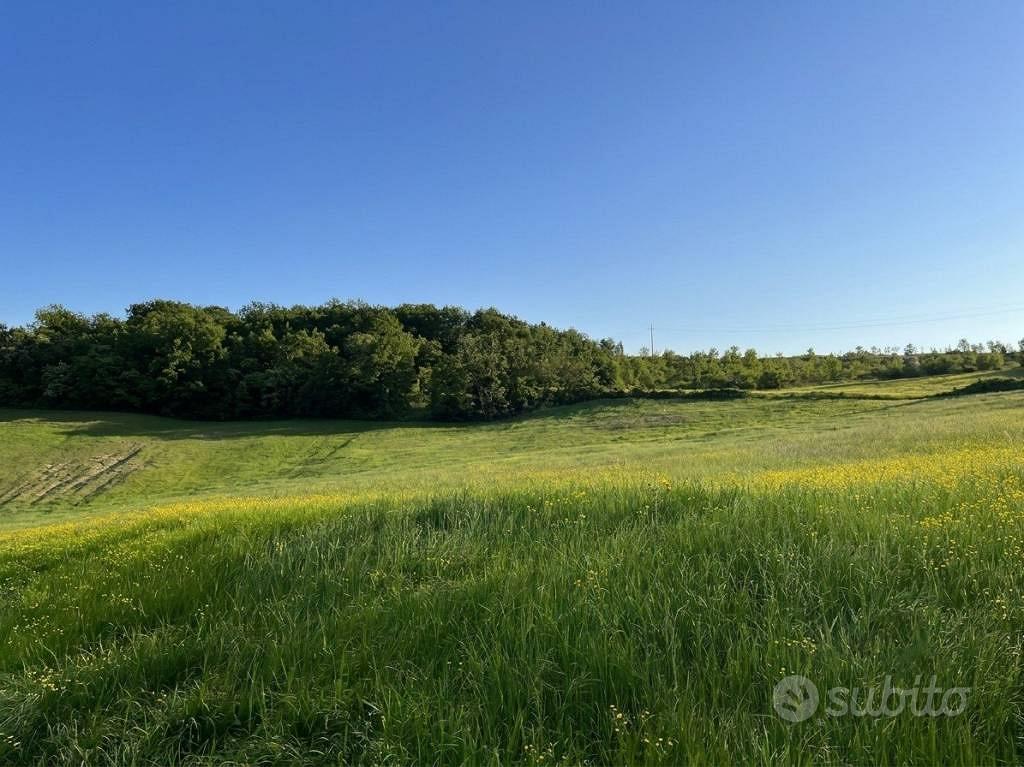 Rustico / Casale di 600 m² con 5 locali e box auto - Vista 3