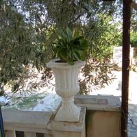Vasi di cemento