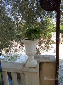 Vasi di cemento
