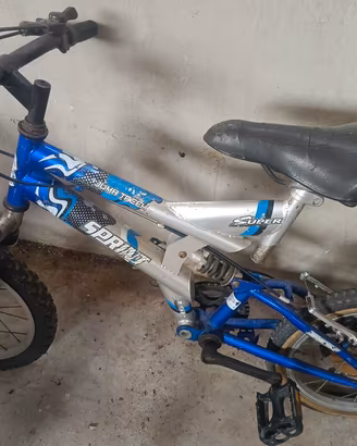 bici varie misure 