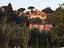 Immagine 25