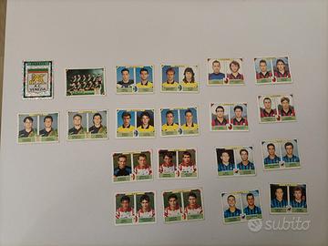 Figurine panini 1993-94