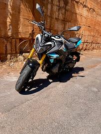 MORBIDELLI F352