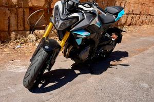 MORBIDELLI F352