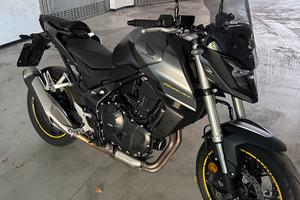 Hornet 750