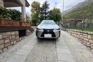 LEXUS UX LUXURY4WD 250H