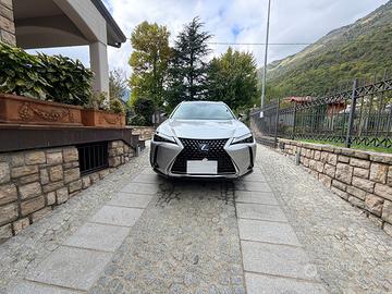 LEXUS UX LUXURY4WD 250H