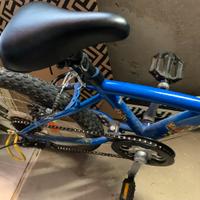 Bicicletta