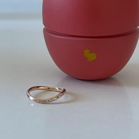 Coppia di anelli DoDo