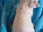 Immagine 1