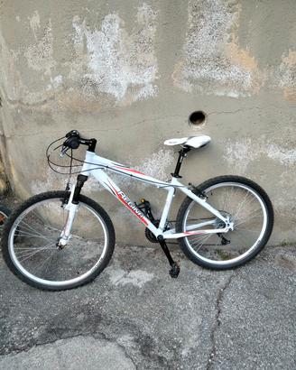 Mountain bike ragazza