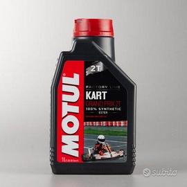 Motul grand prix 2t