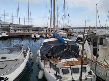 Motorsailer 27 tortuga