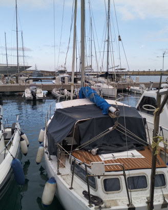Motorsailer 27 tortuga