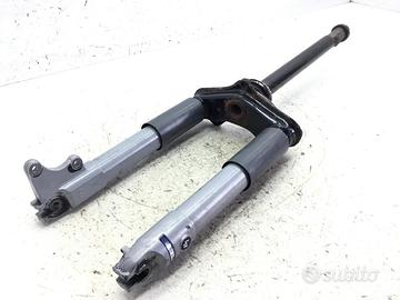 PIAGGIO ZIP 2T 50 FORCELLA FODERI STELI E PIASTRA 