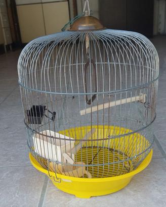 Gabbia per canerini