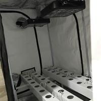 Serra aeroponica ghe + growroom COMPLETA DI TUTTO