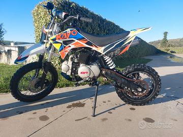 Pit bike 110 limited edition
