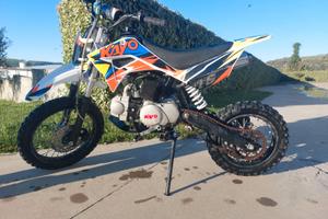 Pit bike 110 limited edition