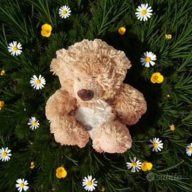 Orsacchiotto di pelouche