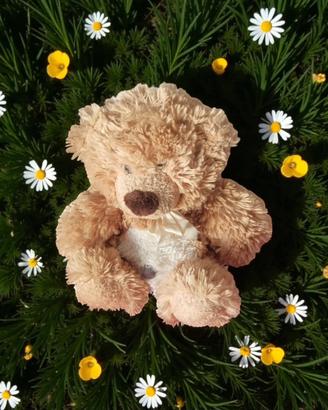 Orsacchiotto di pelouche