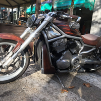 Harley davidson V-Rod