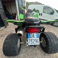 Quad artcat