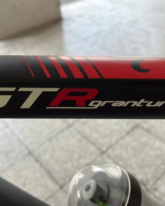 Bici da corsa Wilier Triestina