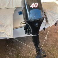 Mercury 40/60hp ELPT  EFI 2009