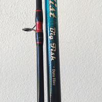 Canna da siluro Rhino big fish 