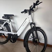 Riese & Müller Nevo4 GT