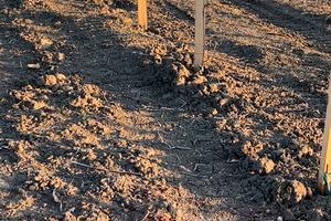 Terreno con rustico