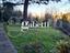 Immagine 11