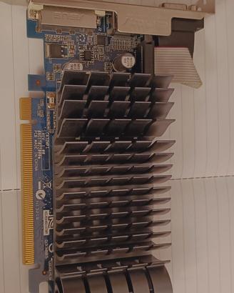 Scheda Video Asus