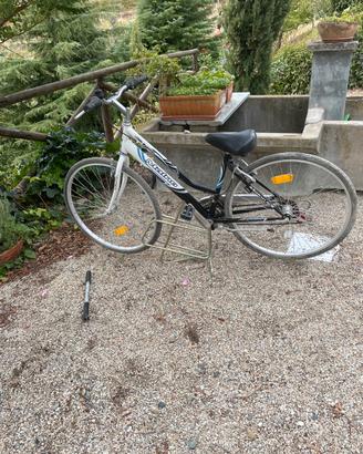 Bicicletta uomo donna